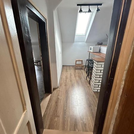 Private Apartament With Shared Bathroom بلغراد المظهر الخارجي الصورة